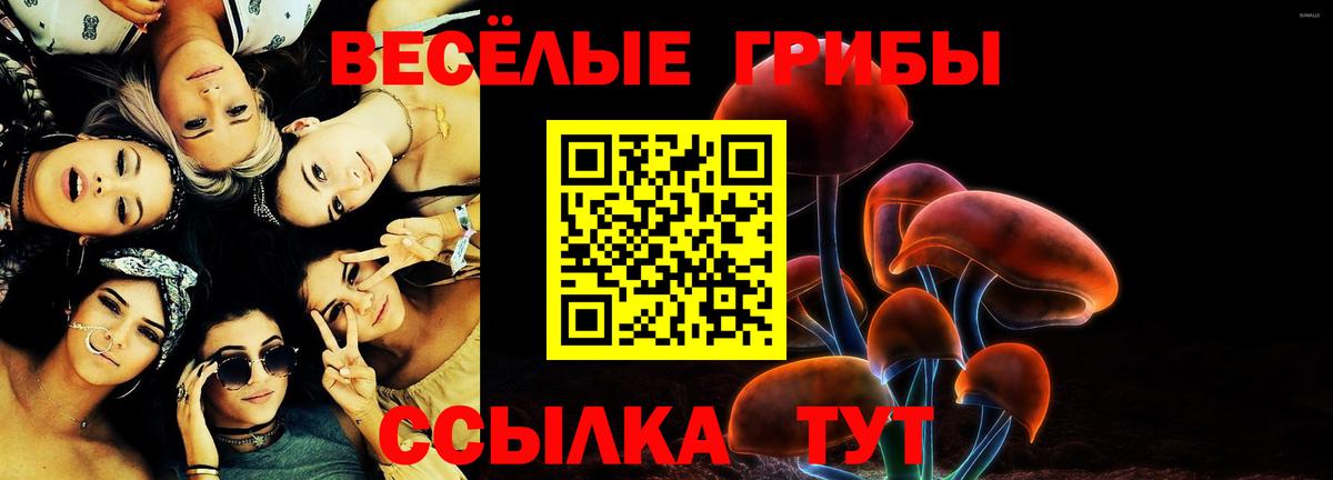 Галлюциногенные грибы мицелий  Вход с VPN  где купить   Ковров 